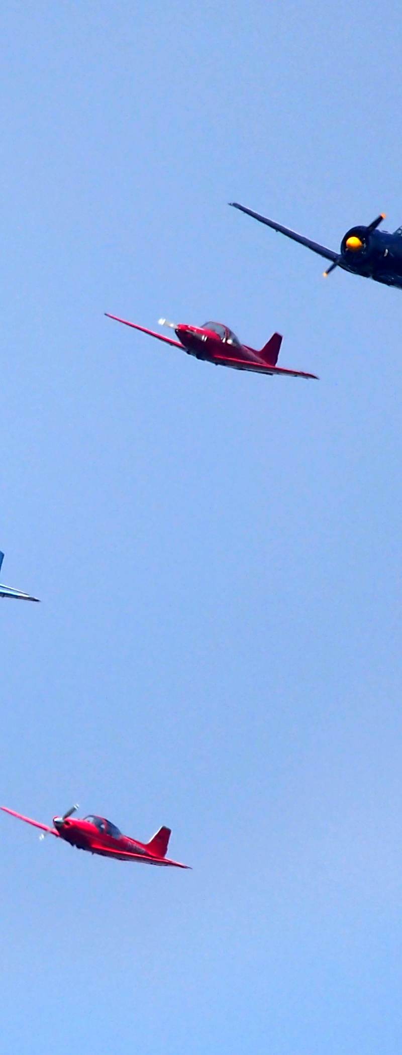 N13FY - Warbird