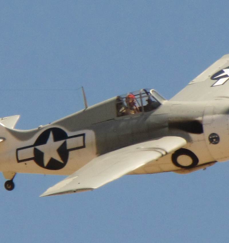 N86572 - Warbird