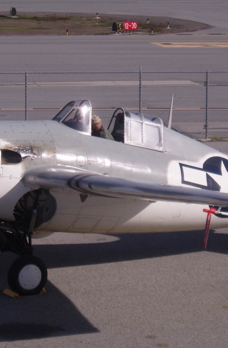 N86572 - Warbird