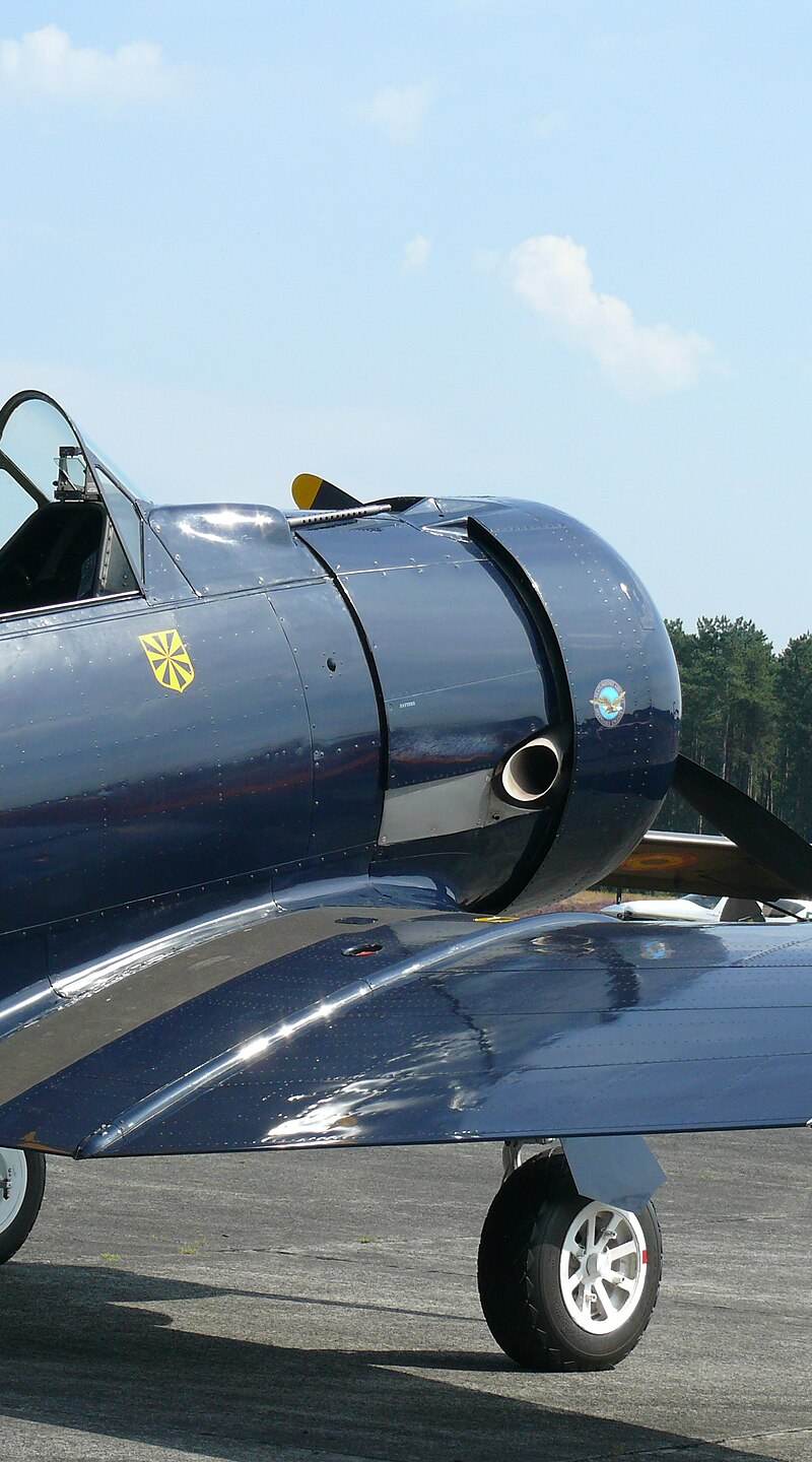 N13FY - Warbird