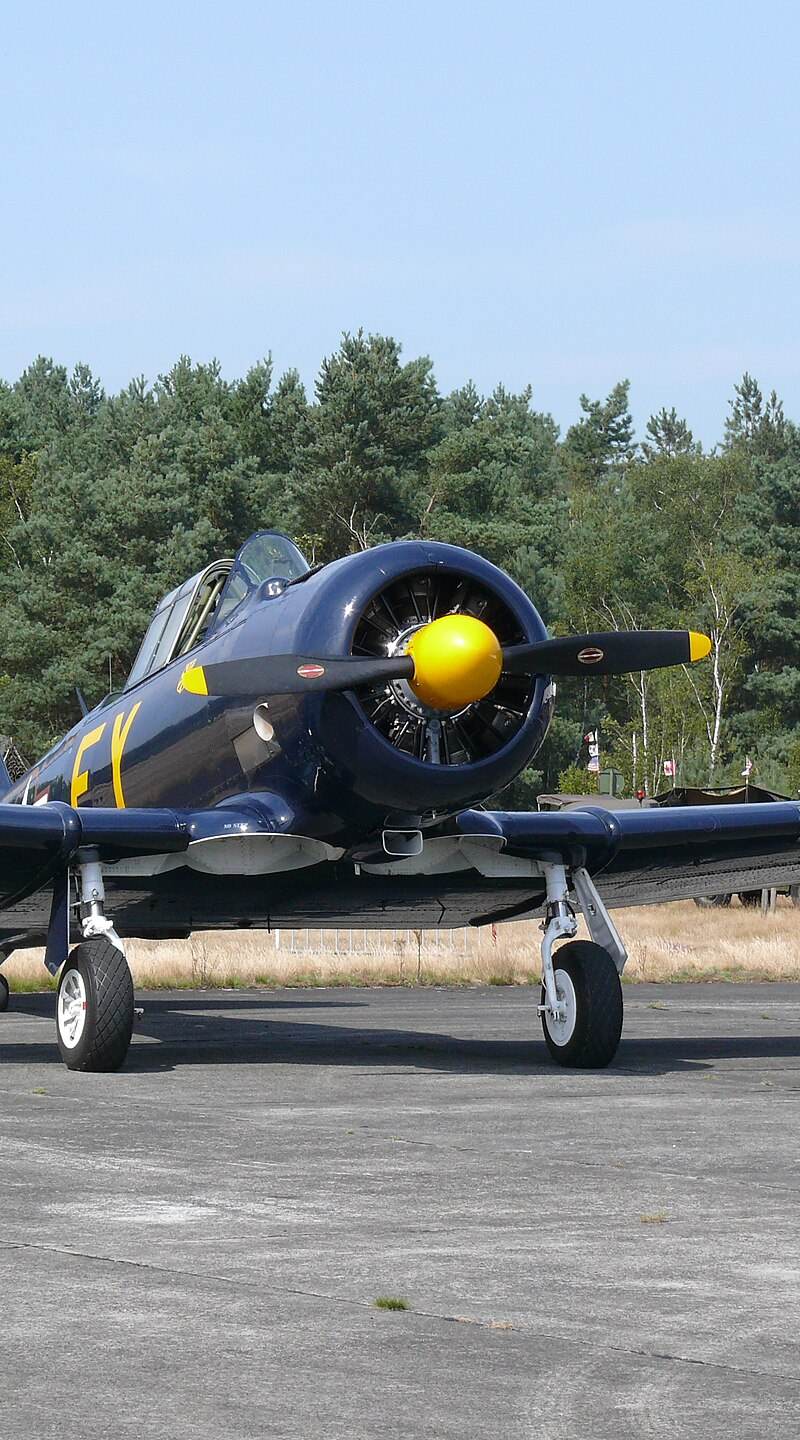 N13FY - Warbird