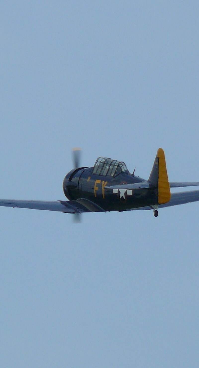N13FY - Warbird