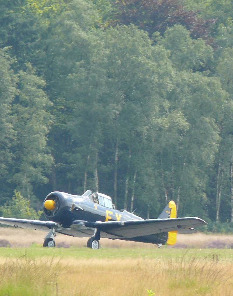 N13FY - Warbird