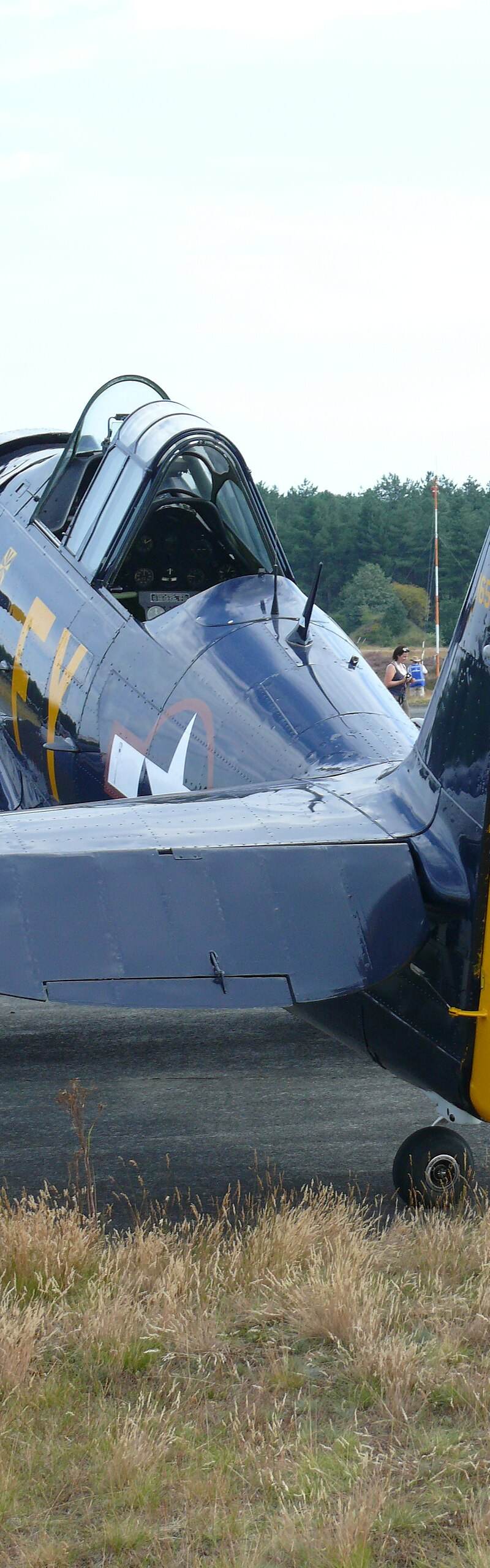 N13FY - Warbird