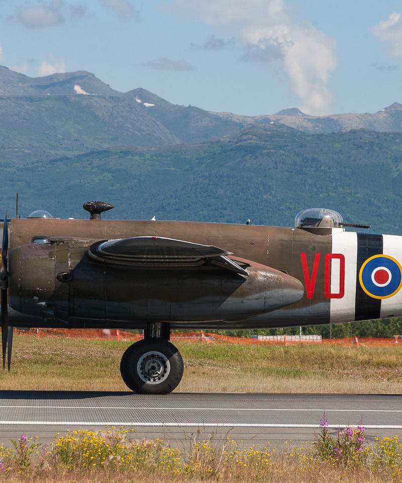  - Warbird