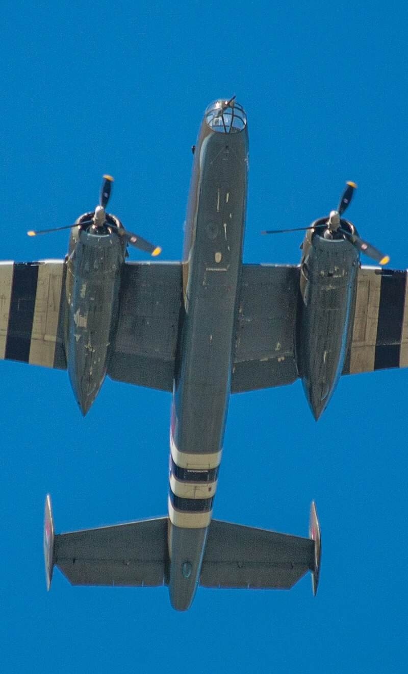  - Warbird