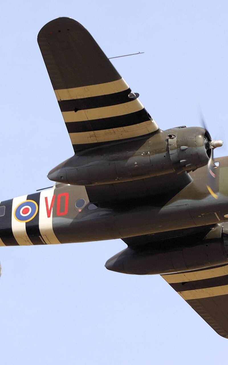  - Warbird