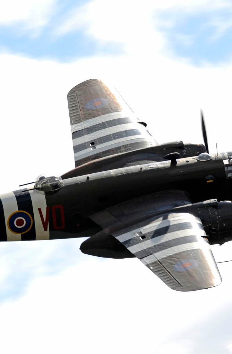  - Warbird
