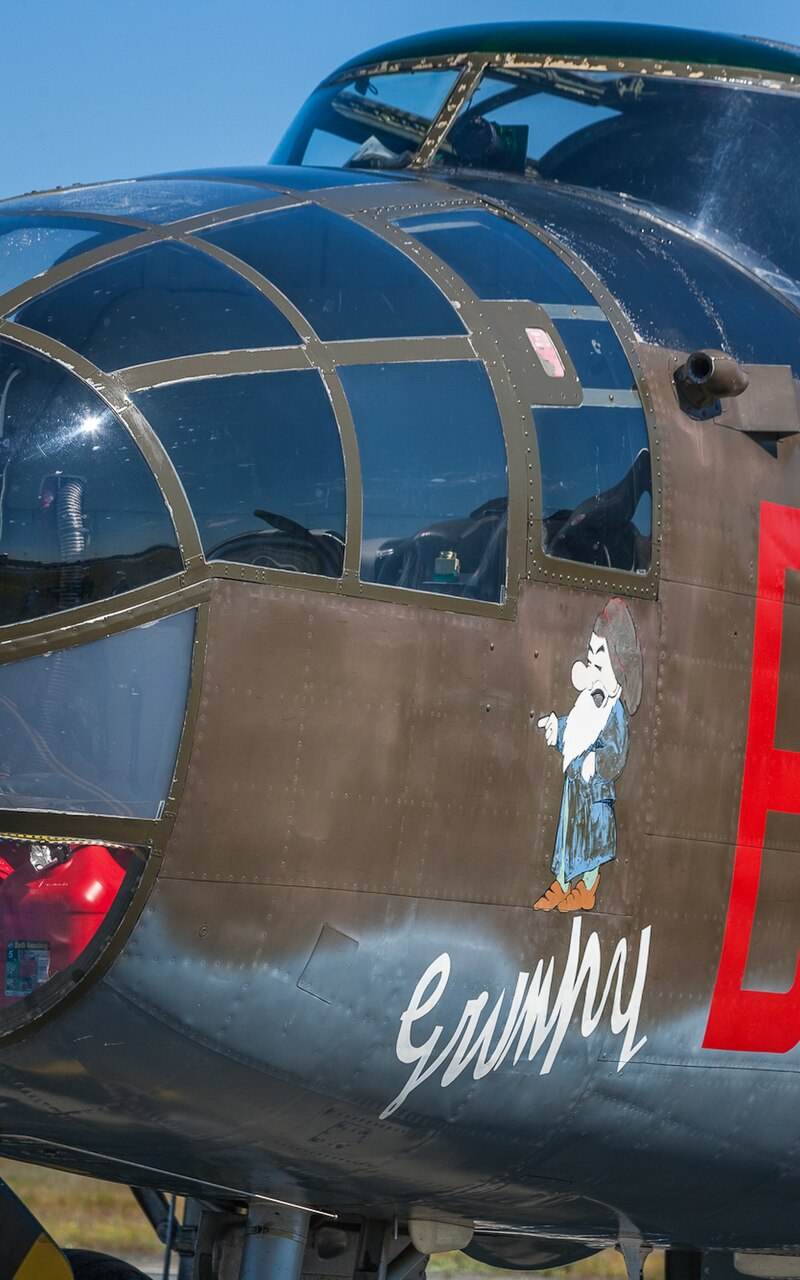  - Warbird