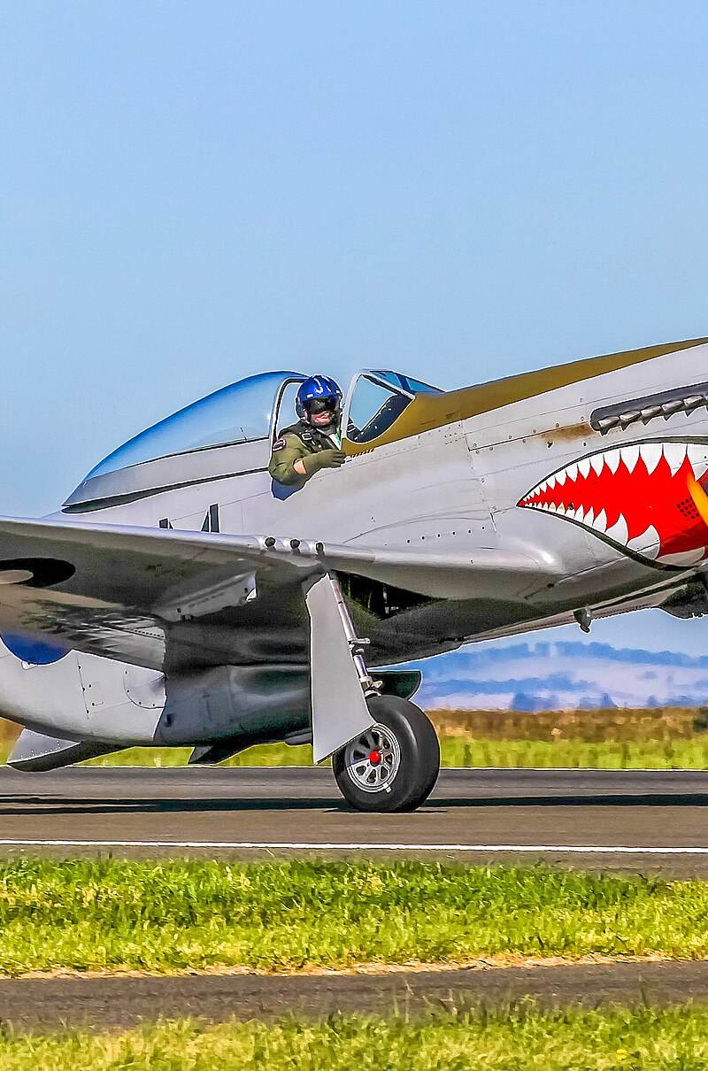  - Warbird