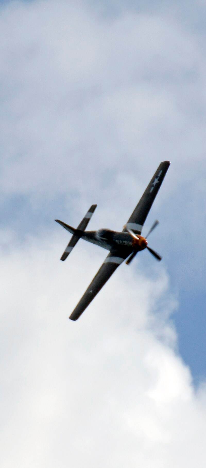  - Warbird