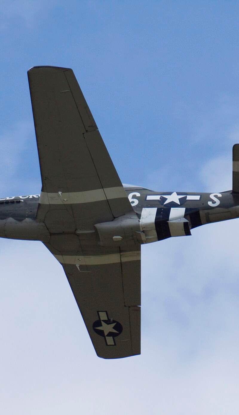  - Warbird