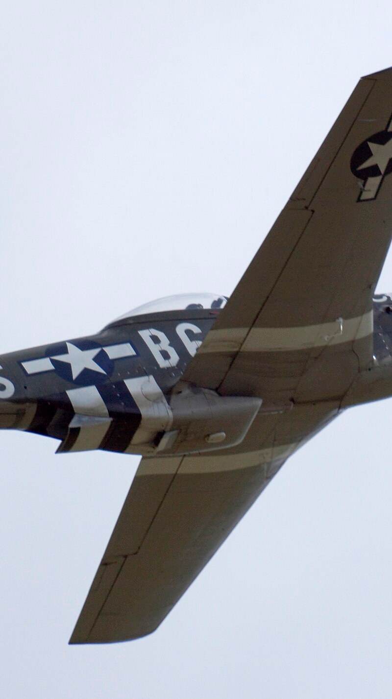  - Warbird
