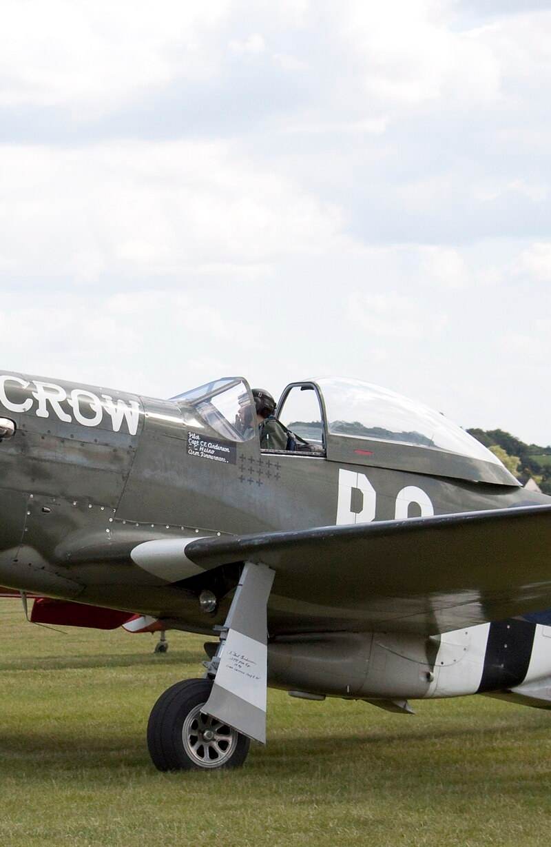  - Warbird