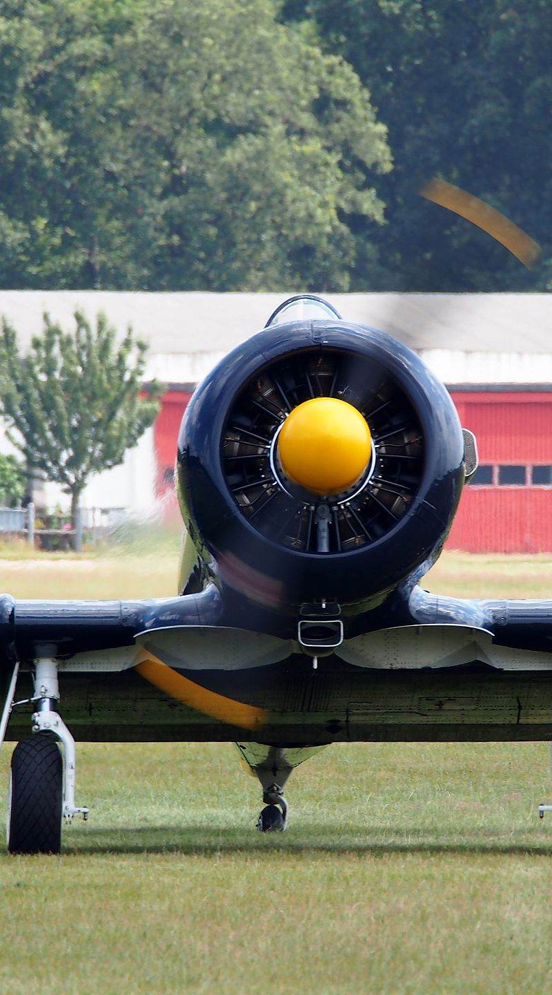 N13FY - Warbird