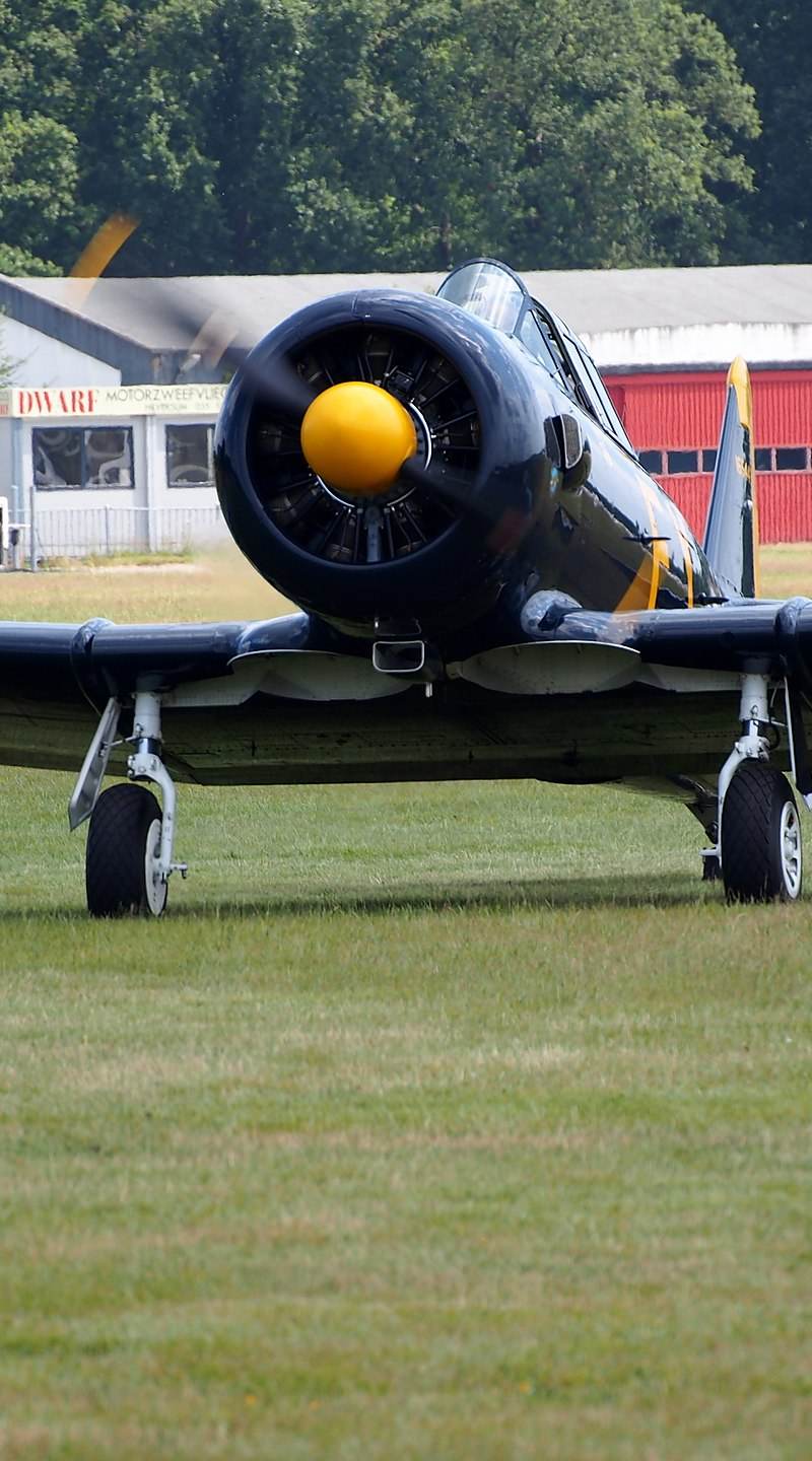 N13FY - Warbird