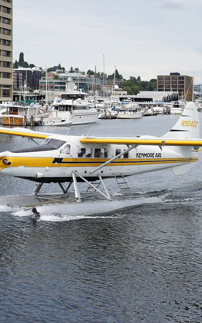 N90422 - De Havilland