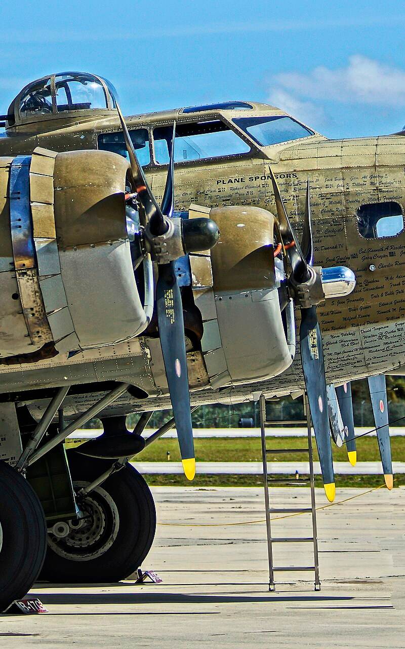  - Warbird