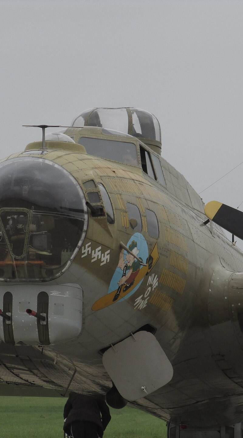  - Warbird