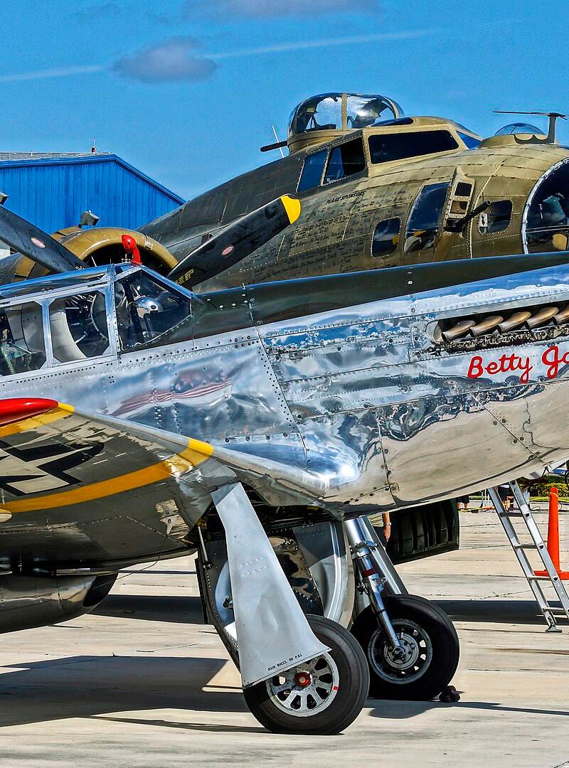  - Warbird