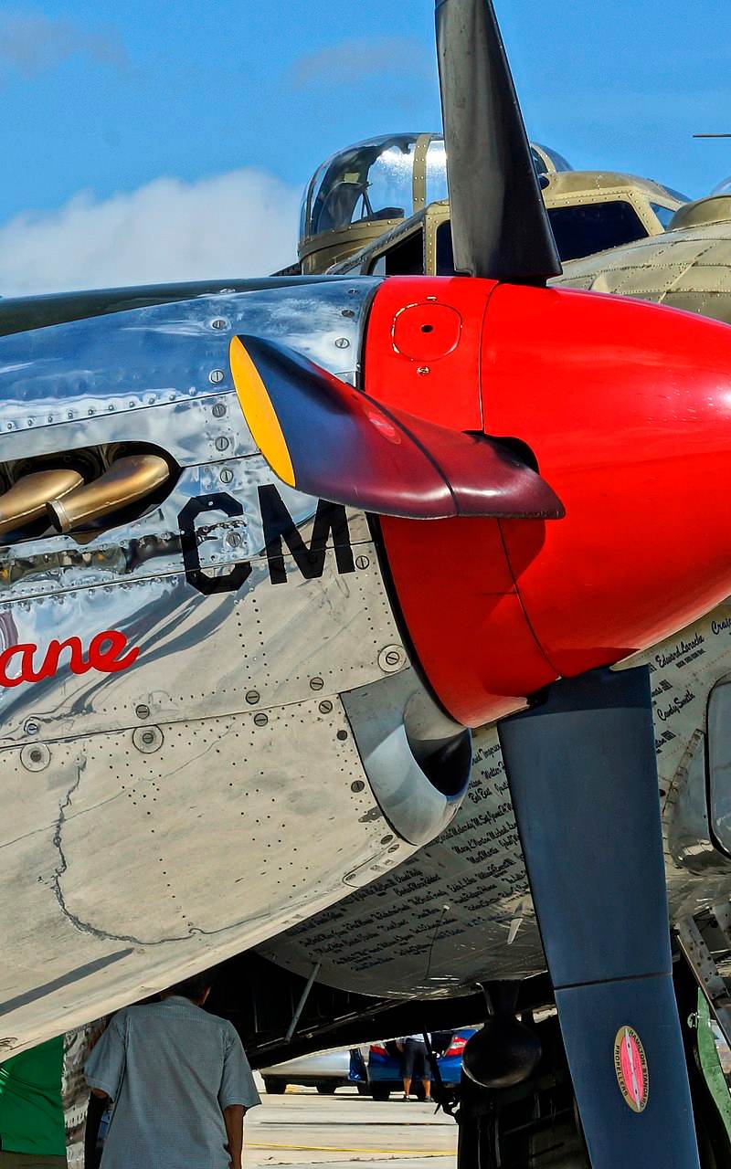  - Warbird