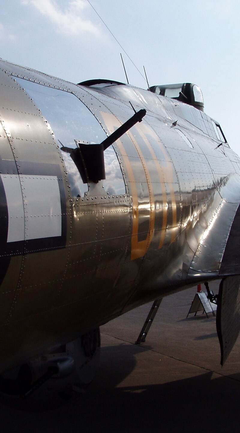  - Warbird