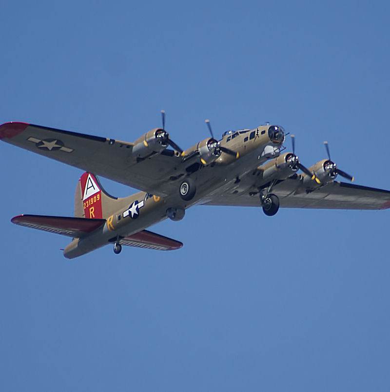  - Warbird