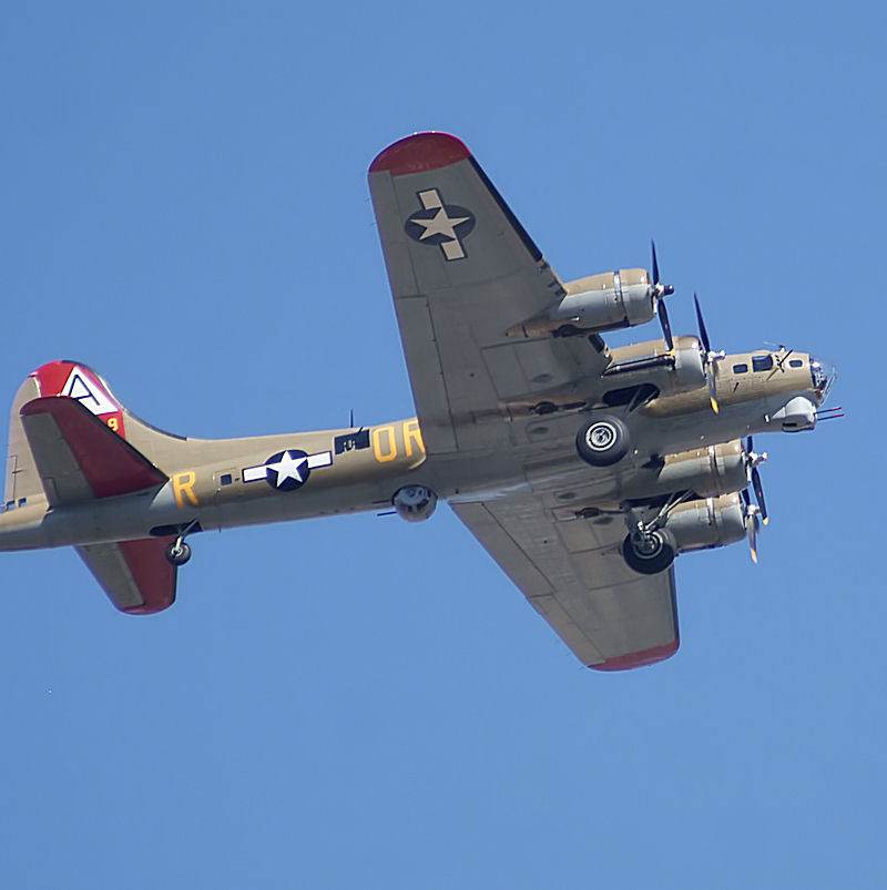  - Warbird