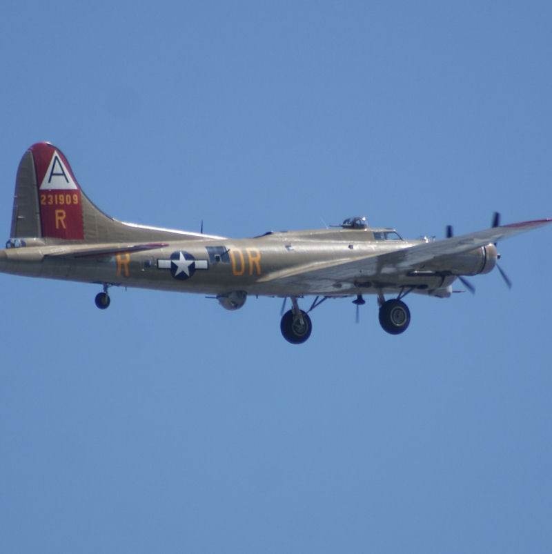 - Warbird
