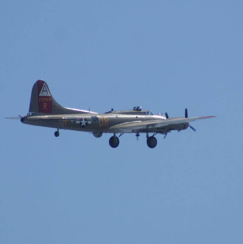 - Warbird