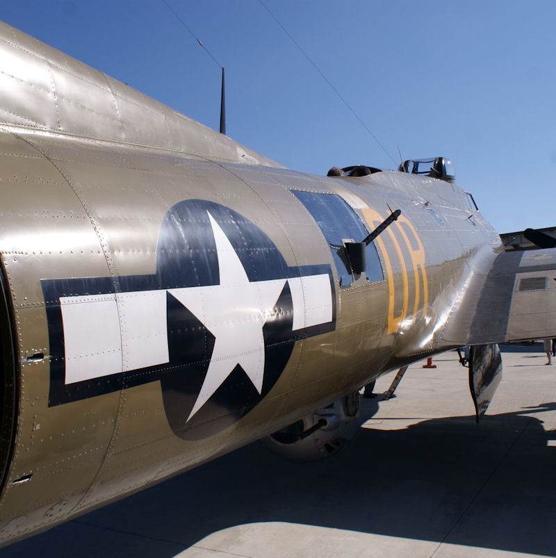 - Warbird