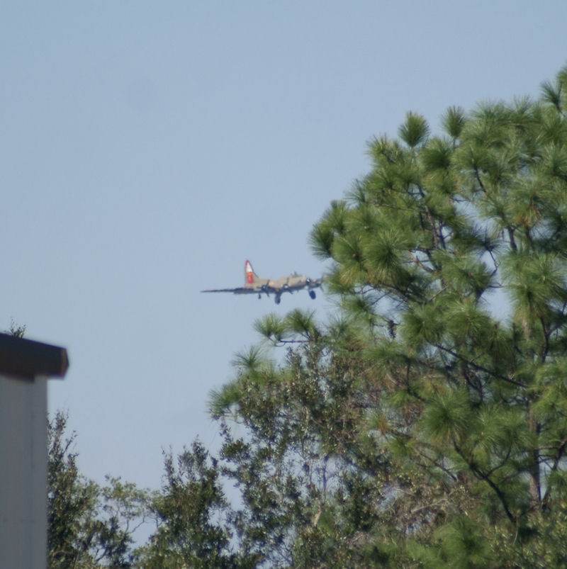  - Warbird