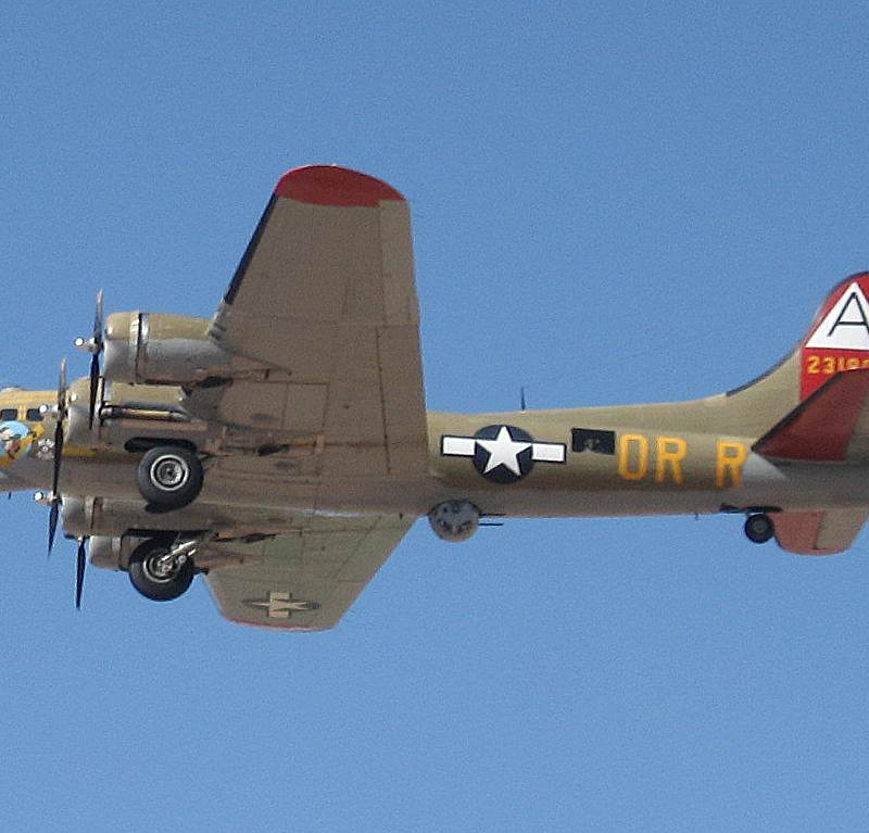  - Warbird