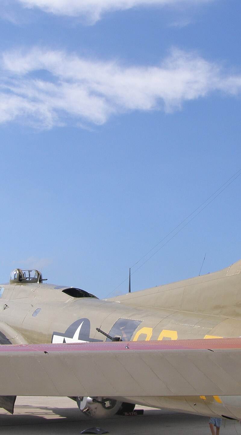  - Warbird