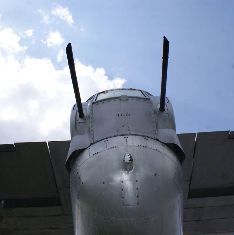  - Warbird