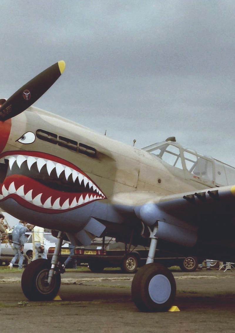 N94466 - Warbird