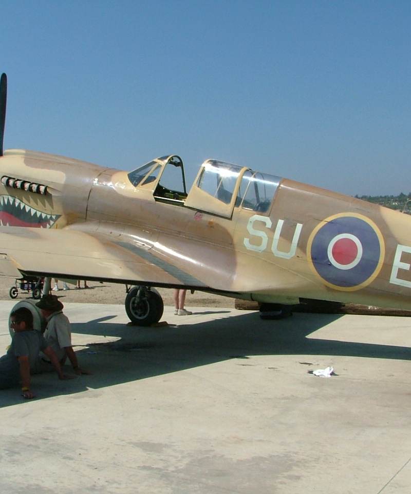 N94466 - Warbird