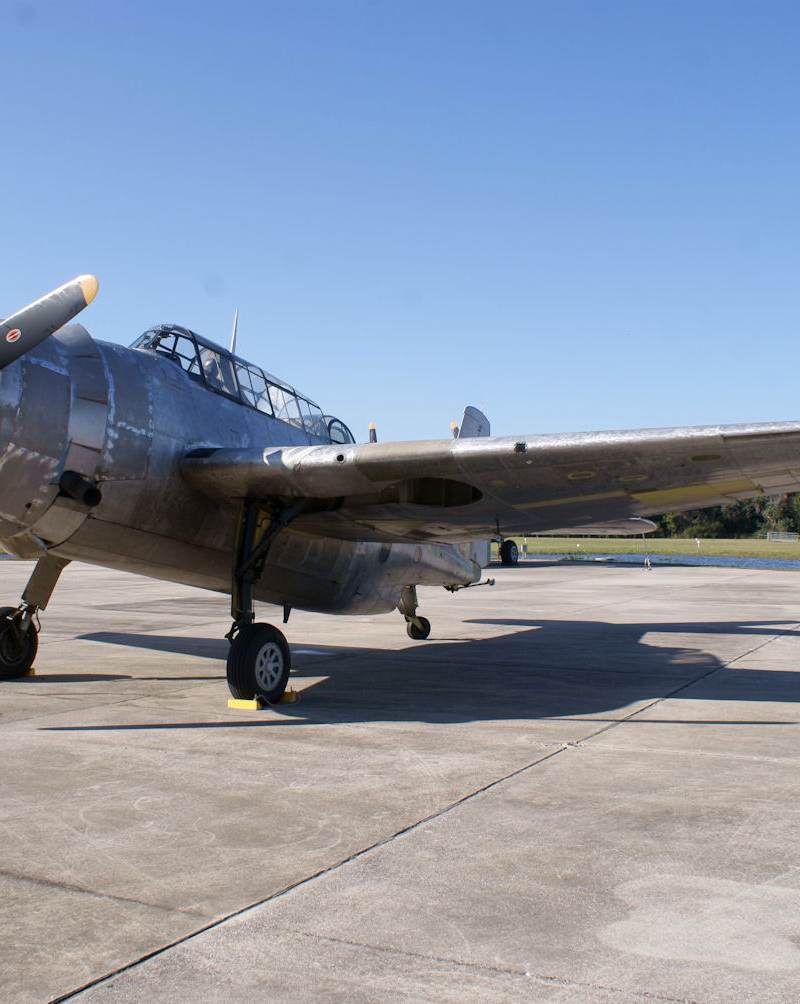  - Warbird