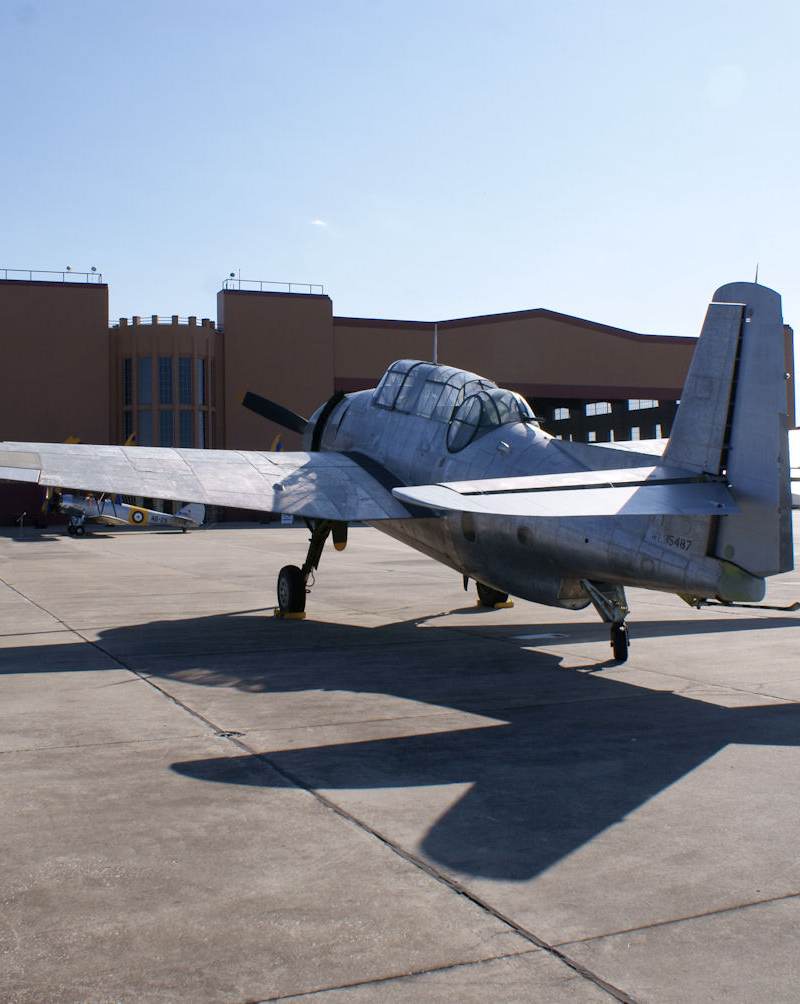  - Single-engine aircraft
