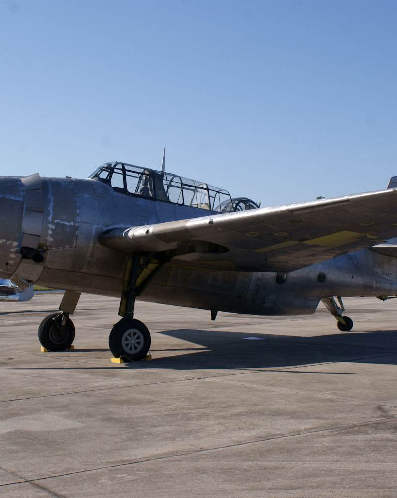  - Warbird