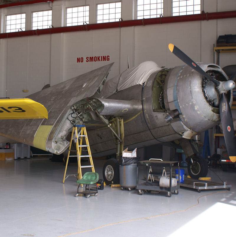  - Warbird