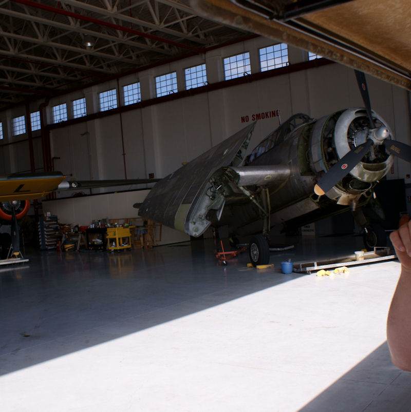  - Warbird