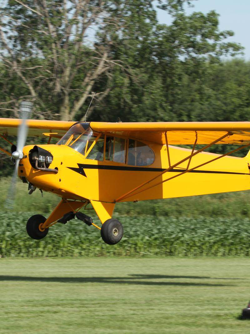 N98600 - Piper