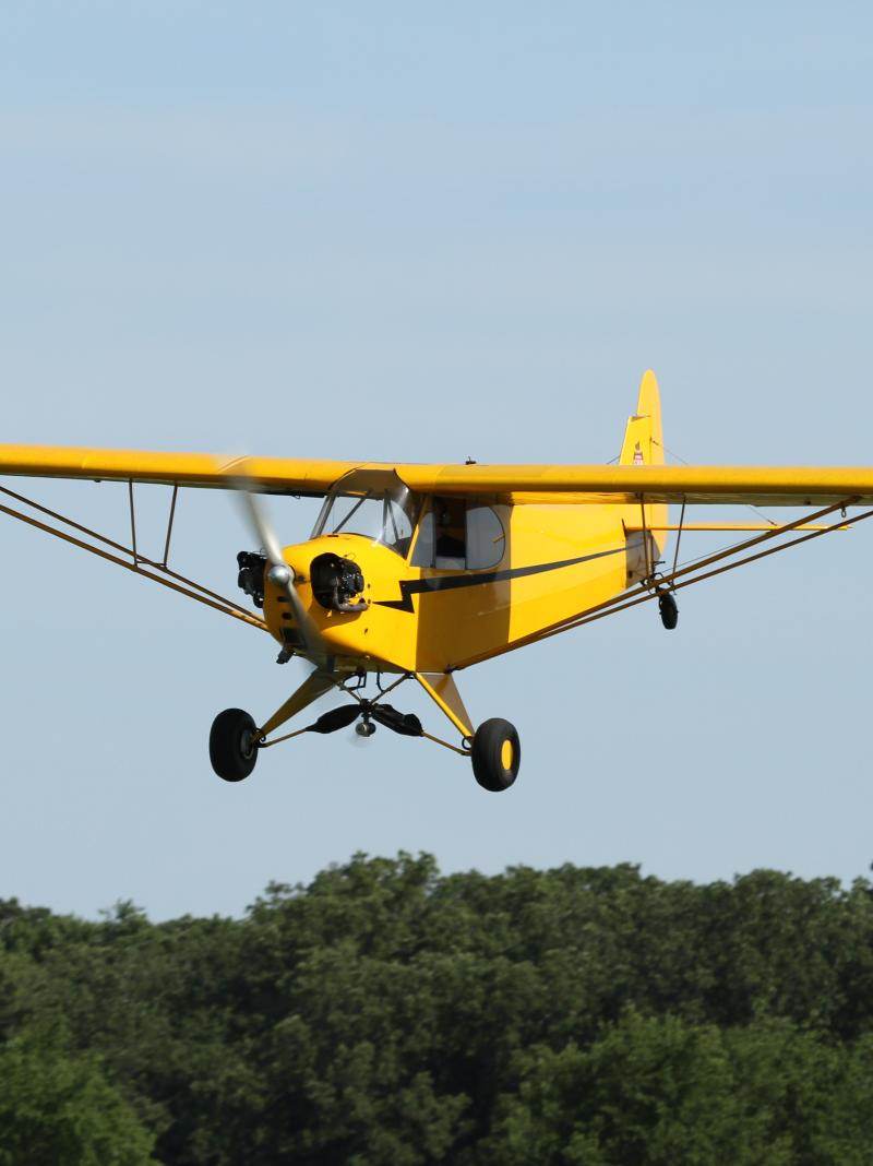 N98600 - Piper