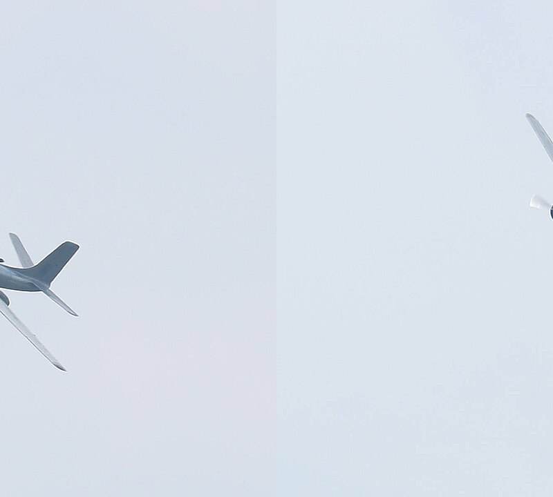  - Warbird