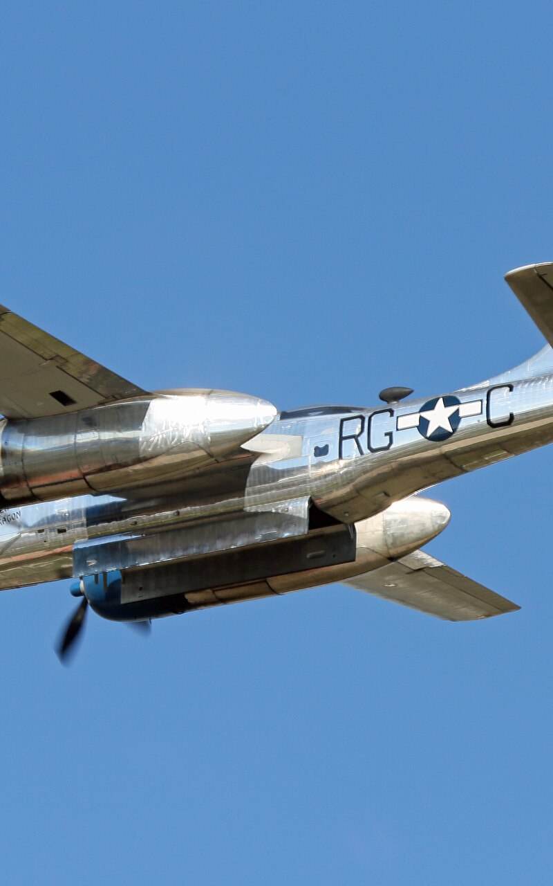  - Warbird