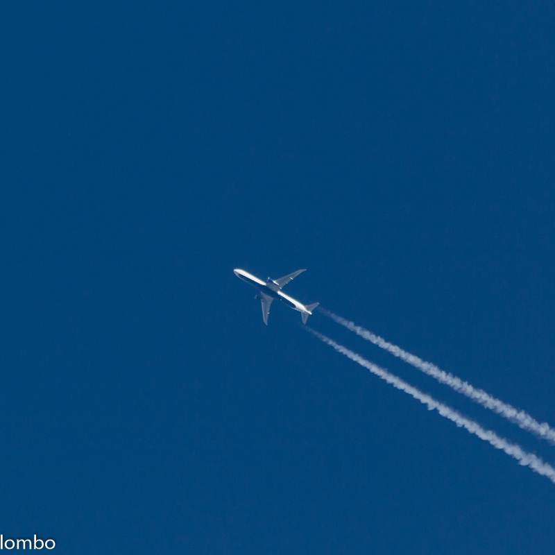 N177DZ - Twin-engine aircraft