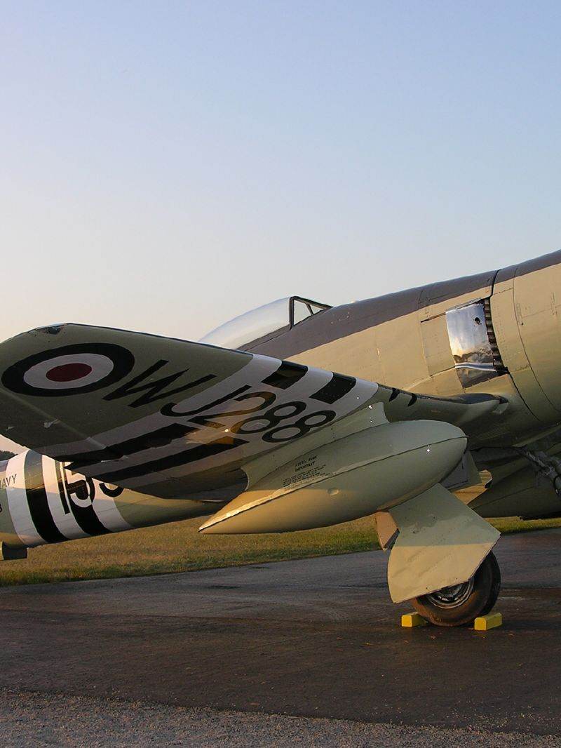  - Warbird