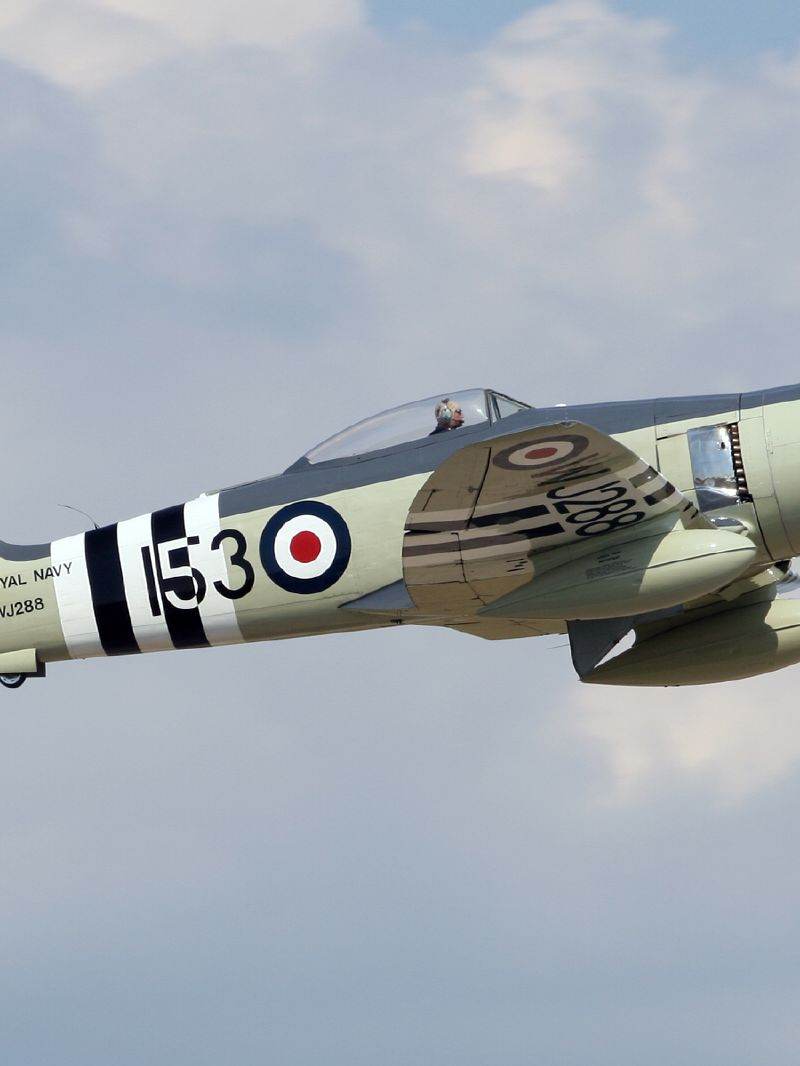  - Warbird