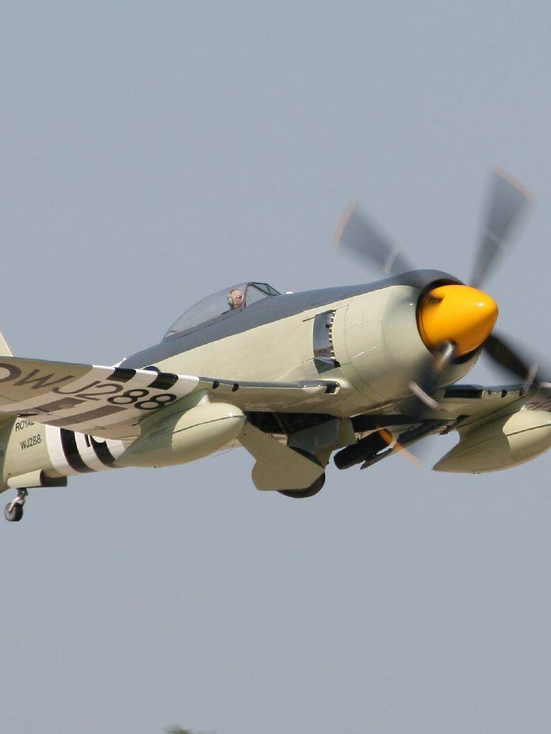  - Warbird